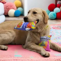 Jouet en peluche pour chien, design original Candy, élégant, en peluche froissée, couineur, résistant aux morsures, en gros, 2025