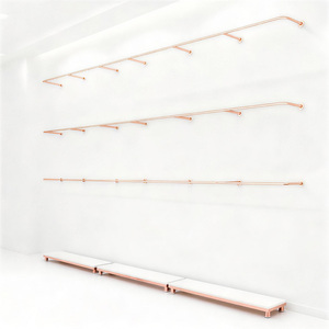 Estantes de Exhibición para Tiendas de <span class=keywords><strong>Ropa</strong></span>, Perchero de Pared de Acero Inoxidable para <span class=keywords><strong>Ropa</strong></span> Infantil, Soporte Metálico Dorado Brillante para <span class=keywords><strong>Ropa</strong></span> de Niños - Product Image 5