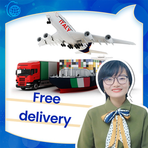 Agen Pengiriman DDP Transport Kargo Prancis dari Tiongkok Ke Eropa Polandia Jerman Belgia Italia - Product Image 5