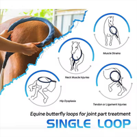 Appareil portable PMST LOOP Physio Magneto PEMF, thérapie électromagnétique haute intensité pour chevaux
