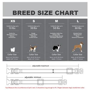 <span class=keywords><strong>Collar</strong></span> de nailon barato clásico personalizado para perros, hebilla de fabricante de productos para mascotas con cintas de plástico personalizadas, perro de paseo sólido - Product Image 6