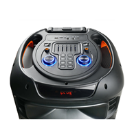 Meilleure vente 15 pouces Trolley Party Speaker avec micro puissant 40W Trolley Speaker pour haut-parleur karaoké actif sans fil de haute qualité