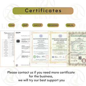 Капсулы с порошком моринги <span class=keywords><strong>500</strong></span> мг: Поддержка иммунитета и метаболизма, зеленый суперфуд, капсулы из листьев моринги - Product Image 4