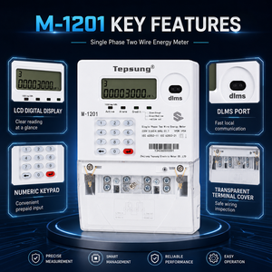 Medidor de Energía Monofásico Tepsung M-1201 IP54 Inteligente con Teclado de Prepago STS, Multitarifa/Antimanipulación/Limitación de Potencia - Product Image 4