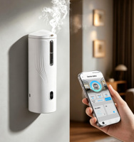 Diffuseur d'huiles essentielles sans eau 100 ml, machine à parfum biphasée, désodorisant léger pour la maison, l'hôtel et usage commercial
