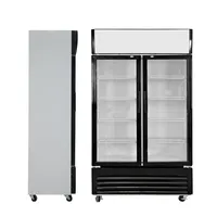 Aufrecht 2 glas türen display kühlschrank mit gefrierfach schaufenster display kühlschrank