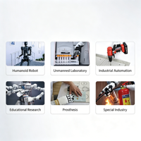 Mano Robótica PLC Agile Hirobot A2CA-RH5DG2, Brazo Robótico con 13 Grados de Libertad, Motor Servoeléctrico, Humanoide Biónico, IP54, 48V, 28W