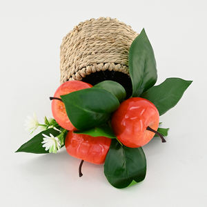 Bonsái <span class=keywords><strong>de</strong></span> fruta <span class=keywords><strong>de</strong></span> manzana Artificial realista, árbol Mini <span class=keywords><strong>de</strong></span> 8,5 cm, decoración <span class=keywords><strong>de</strong></span> escritorio interior para regalo, oficina en casa, gran oferta, <span class=keywords><strong>precio</strong></span> al por mayor - Product Image 2