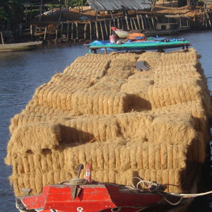 Fibra de Coco Natural Marrón Cruda Ecológica Anti-UV para Hilado, Procedente de Vietnam - Product Image 1