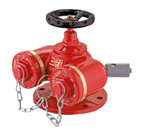 Approvisionnement d'usine Meilleur prix Bouche d'incendie Connecteur rapide SQD100-1.6 accessoire de pompe à incendie polyvalent pour équipement de lutte contre l'incendie