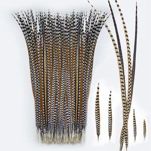Plumes de carnaval brésilien authentique | Plumas faisan Ringneck pour <span class=keywords><strong>Samba</strong></span> - Product Image 5