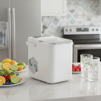 Machine à glaçons électrique portable de comptoir 12 kg/24h, autonettoyante, en forme de balle, en plastique, pour usage hôtelier, compatible bouteille, domestique et extérieur