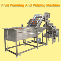 Efficiënte Commerciële Fruitreinigings-En Pulpproductielijn/Volautomatische Fruitreinigings-En Pulpmachine