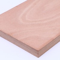 Contreplaqué en bois dur d'eucalyptus imperméable et résistant aux intempéries 4x8 pieds pour la décoration intérieure des bâtiments