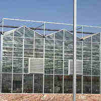 Serre en verre Venlo à haut rendement pour la culture de tomates, 50 tonnes par 1000 m², système complet