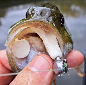 7.5cm 75mm 3.6g leurre fluorescent en stock matériel de pêche couleur unique T queue plastique souple ver d'alose leurre plastique souple - Product Image 2