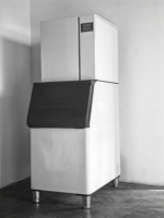 Machine à glaçons italienne de petite taille de 150-500 kg, haute qualité, usage commercial, impression de logo, prix d'usine abordable