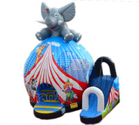 Château gonflable de haute qualité, dôme de cirque géant en forme d'éléphant, toboggan, maison de rebond, château gonflable commercial avec toboggan