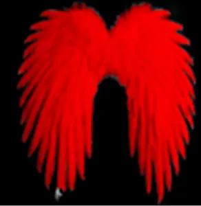 Großhandel billiger Bulk weißen Engel Kostüm größere Feder flügel Karneval Phantasie schwarz 50cm rote Engels flügel für Halloween Verkauf