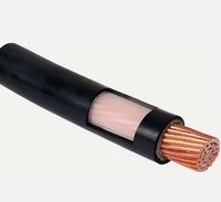Cable de Alimentación de Cobre de Baja Tensión TTU de 0.6/1kv, Un Solo Núcleo, 4/0AWG 250 300 400 500 600 700 800 1000 MCM, Conductor de Cobre, Aislamiento XLPE