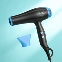 Sèche-cheveux ionique professionnel avec affichage numérique, séchage rapide, sèche-cheveux de salon avec buse concentratrice, étiquette privée personnalisée