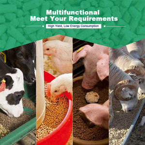 Machine de fabrication de granulés d'aliments pour animaux, moule annulaire pour granulés d'aliments 5t/h, <span class=keywords><strong>prix</strong></span> usine pour aliments pour chevaux, bétail, vaches et bovins - Product Image 6