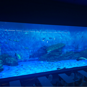 Fancy Clear Unieke Aangepaste Oceanarium Acryl <span class=keywords><strong>Aquarium</strong></span> Project, Meest Populaire Clear Aquaria <span class=keywords><strong>Fish</strong></span> Tanks Kleine Grote Acryl @ - Product Image 2