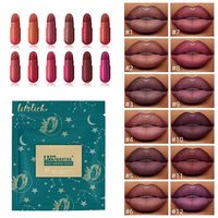 Lot de 12 rouges à lèvres capsules Constellation, mat, waterproof, longue tenue, à base de plantes, mini kit de voyage
