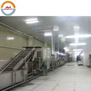 自动冷冻食品生产线iqf洋葱胡萝卜青豆菠菜山药薯条加工厂制造机机械