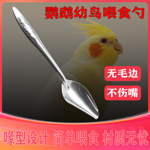 Comedero de acero inoxidable para loros, comedero para pájaros, alimentador manual para pollitos/bebés de myna, dispensador de agua/leche, y artículo de gran venta. - Product Image 2