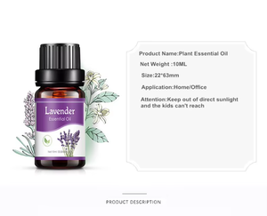 Huiles essentielles naturelles de <span class=keywords><strong>lavande</strong></span>, menthe, orange et bois de santal, parfum aromatique pour diffuseur d'ambiance, humidificateur, spa, utilisation quotidienne - Product Image 6