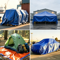Bâche PE imperméable pour jardin, abri de plantes, bâche de protection pour bateau, voiture, camion, abri de chien, housse de pluie