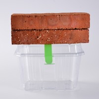 Boîte en plastique transparente de récipient d'emballage alimentaire de boursouflure d'animal familier écologique fait sur commande raisin fraise fruit