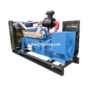 20KW 30KW 50KW 100KW 150KW 200KW 300KW 400KW 500KW Gas naturale Biogas CNG metano generatore CHP Biogas purificazione - Product Image 6