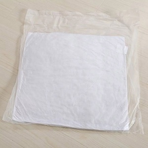 <span class=keywords><strong>Coussin</strong></span> d'oreiller en polyester rembourré à prix d'usine avec housse amovible – Noyau <span class=keywords><strong>de</strong></span> <span class=keywords><strong>coussin</strong></span> décoratif - Product Image 4