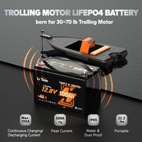 Batterie LiFePO4 LiTime 12,8 V 100 Ah Groupe 31 pour moteur de pêche à la traîne avec BMS intelligent Bluetooth pour bateaux marins et la pêche