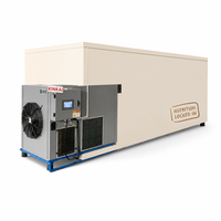 Indonesische tropische fruitdroogmachine warmtepomp dehydrator fabrieksprijs