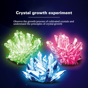 Kit d'expérimentation scientifique en cristal pour enfants ensemble de jouets éducatifs à vapeur expérience de bricolage arbre de noël jouet en cristal pour jeu de famille - Product Image 4
