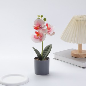 Plante en pot d'orchidée papillon artificielle en PU, décoration photo pour mariage et remise de diplôme, cadeau, vente chaude transfrontalière - Product Image 3