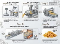 Ligne de production automatique de flocons de maïs 100 kg/h, machine de transformation de céréales pour le petit-déjeuner, équipement de fabrication alimentaire