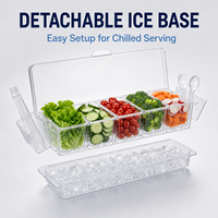 Hete Aanbieding Transparante PS Kunststof 5-Vaks Geïsoleerde Servies Schaal voor Thuis, Feest, Restaurant, Fruit & Topping Organizer