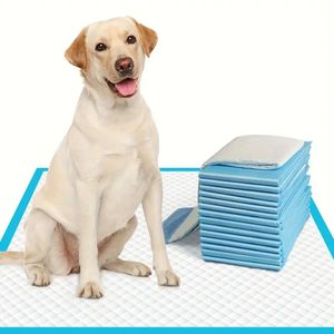 Almohadillas para Orina de Perro, Súper Absorbentes, Desechables, Impermeables, Ecológicas, para Entrenamiento de Perros y Cachorros, Blancas - Product Image 1