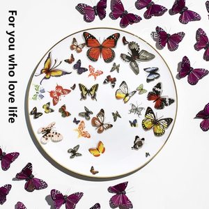 Home Dining Nordic Style Gold Rim Porcelain <b>Plate</b> Bone China Dinnerware <b>Plate</b> Wedding Butterfly <b>Ceramic</b> <b>Plate</b> with Gold Rim - Product Image 2