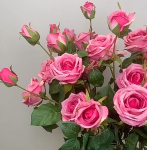 2025 Trang Trí Nội Thất Hot Bán 6 Kim Cương Hoa Hồng <span class=keywords><strong>Toronto</strong></span> Rose Mô Phỏng Cổ Điển Cho Tốt Nghiệp Ngày Của Mẹ Phục Sinh Năm Mới Halloween - Product Image 2