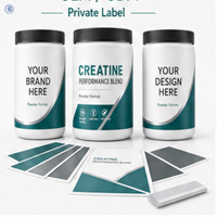 Créatine monohydrate en poudre pure naturelle, sans arôme, pour adultes, complément nutritionnel quotidien, vente en gros OEM d'usine