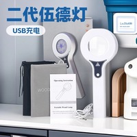 Recharge l'utilisation à domicile dermatoscope électrique analyseur de peau lampe de bois pour la détection de bactéries champignons loupe de lampe de bois faciale