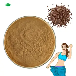 ISO Certified Aframomum Melegueta Extract Grains Of Paradise Powder