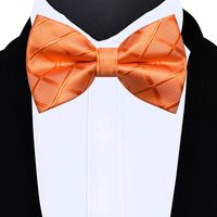 Noeuds papillon à carreaux pour hommes, tissés en jacquard, ajustables, pré-noués, pour hommes d'affaires