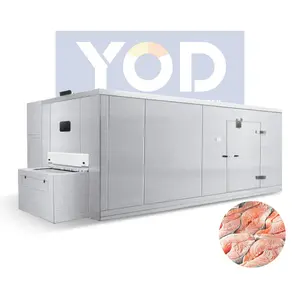 100Kg/H Commercial Iqf Tunnel Freezer Freezing Equipment For Fish Shrimp Vegetables And Fruits