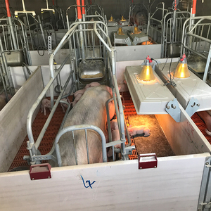 Box de maternité galvanisé pour truies d'élevage avec plancher en fonte - Product Image 1